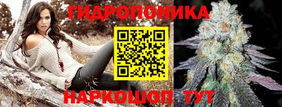стаф Заволжье