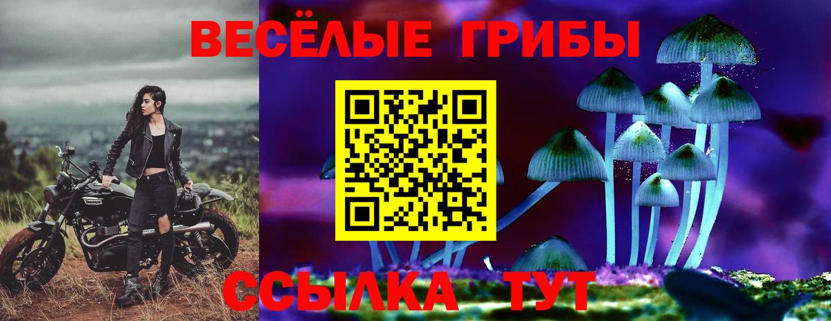 Галлюциногенные грибы MAGIC MUSHROOMS  Вход с VPN  Новосибирск 