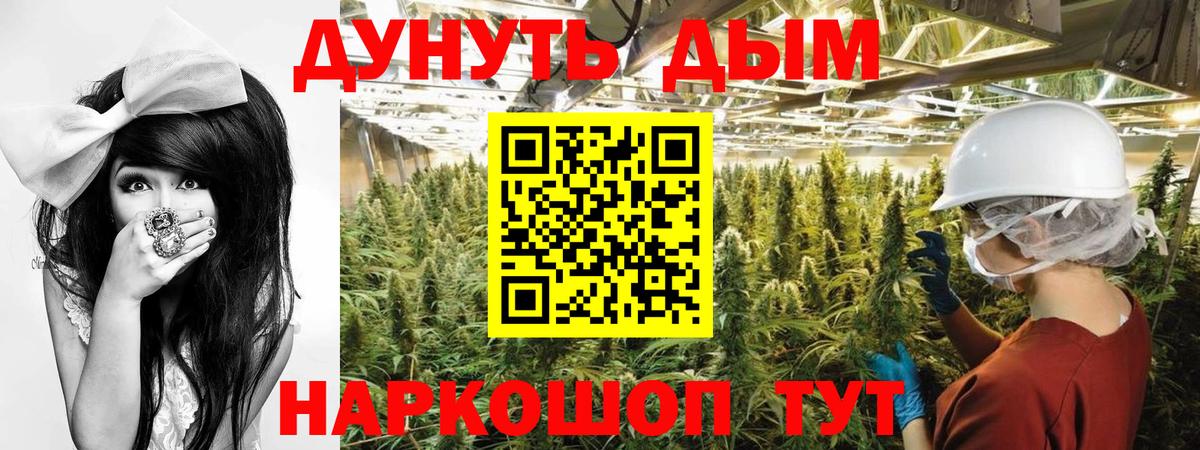 Канабис сатива Новосибирск